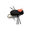 foam beetle